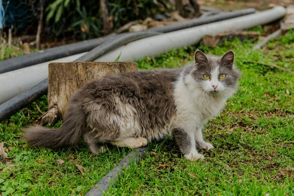 Nourishingyourbodydaily